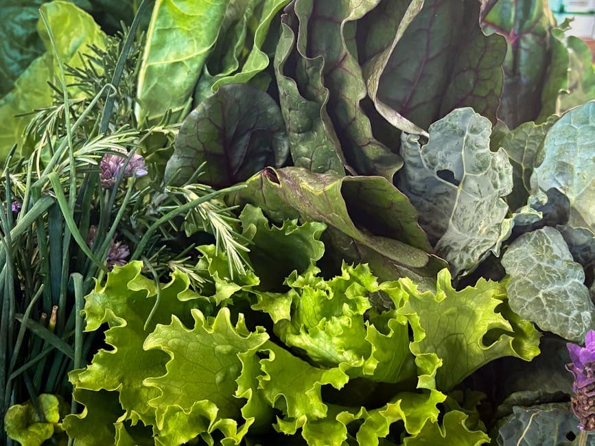Tiered gutter garden with lettuce and herbs