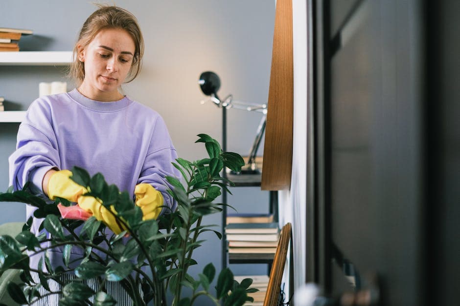 Woman cleaning and caring for indoor plants to prevent pest problems