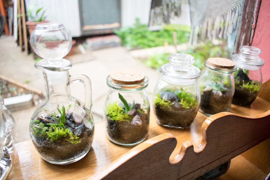 Beautiful collection of succulents in decorative glass terrariums