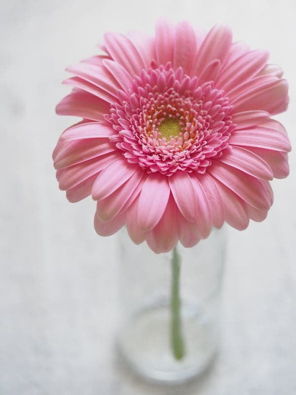 Flower tattoo design inspiration 4